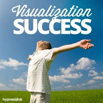 Visualization Success